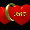 沉默的头像