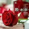 遇见的头像