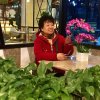 三姐的头像