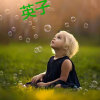 英子的头像
