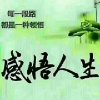 厚道永承的头像