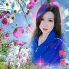 阿英的头像