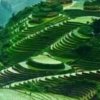 爱欠费情停机，爱情不在服务区的头像