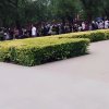 狼行天下的头像