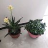 在水一方的头像