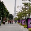 大歌大（别样经典）的头像