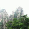 心雨的头像