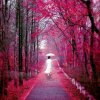 兰花花的头像
