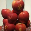 顺其自然 的头像