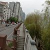 兴的头像