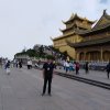 光头强的头像