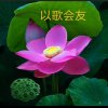 吉祥美好（忙关注不到友们谅解）的头像