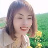 芳的头像