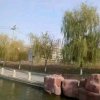 AAsk的头像