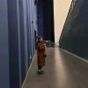 忆的头像