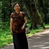  邓曼君的头像