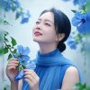 梦杰的头像