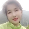 平凡的玫瑰的头像