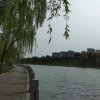 平安幸福的头像