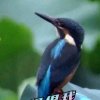 万事如意的头像