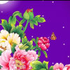 Ada（暂退，忙中迟访请谅）的头像