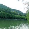 淡雅如水的头像