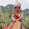 杰梦难寻的头像