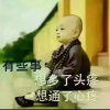 流金岁月的头像