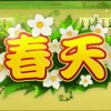 春天的头像