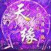 天缘的头像