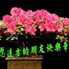 堪秀的头像