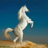 骏马的头像