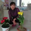 刘燕燕的头像