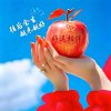 情歌飞扬的头像