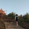 片片枫叶情的头像