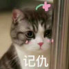 落情伤ོ的头像