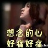 鸿音开心果的头像