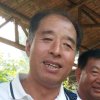 平安的头像