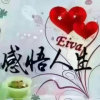 樱花雨梦的头像
