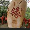 情景美如画的头像