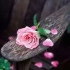 雨霏霏.叶飞杨的头像