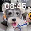 冰点的头像