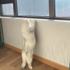 33的头像