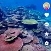 江湖歌手的头像