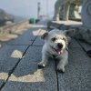 一根葱的头像