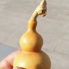 放飞心情(自娱自乐)的头像