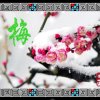 冬梅傲雪的头像