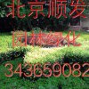 北京顺发园林的头像