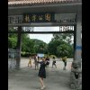 静好的头像