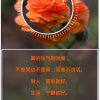 永远放你在心底L丫G的头像